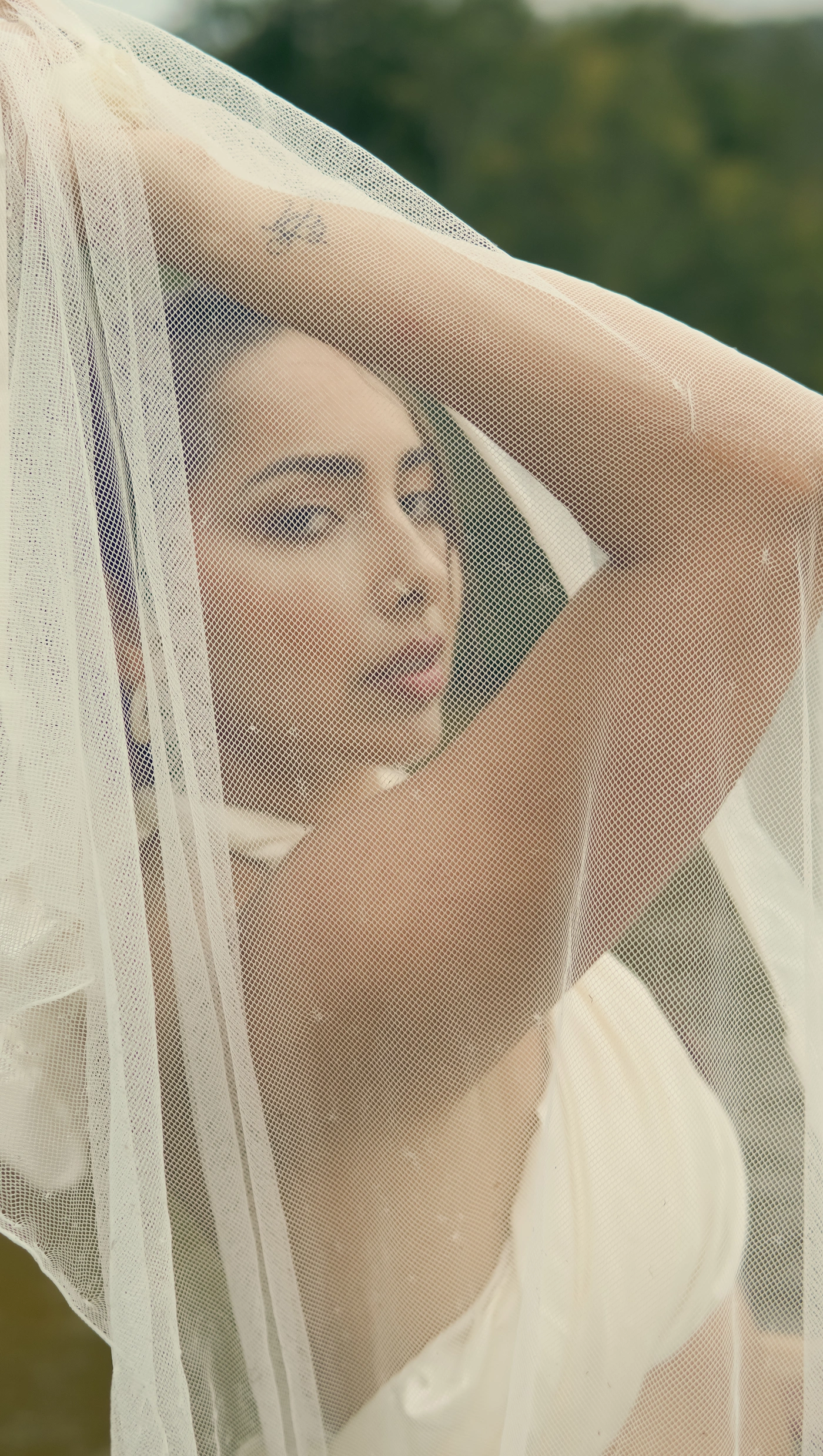 Sahara Rose beneath a white veil in a sunlit garden.